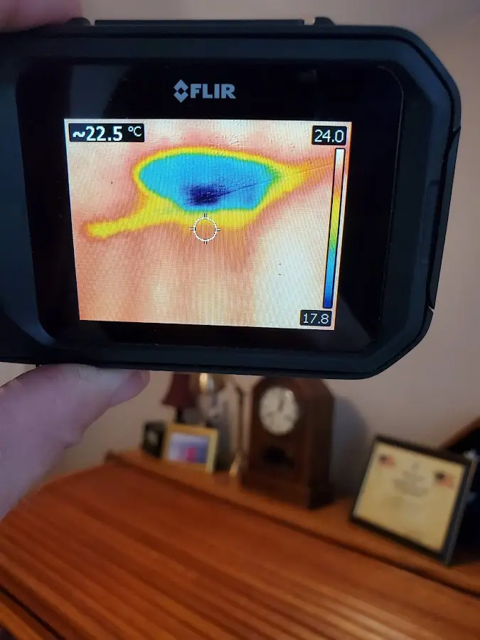 Thermal imaging inspection for water damage in Kodiak