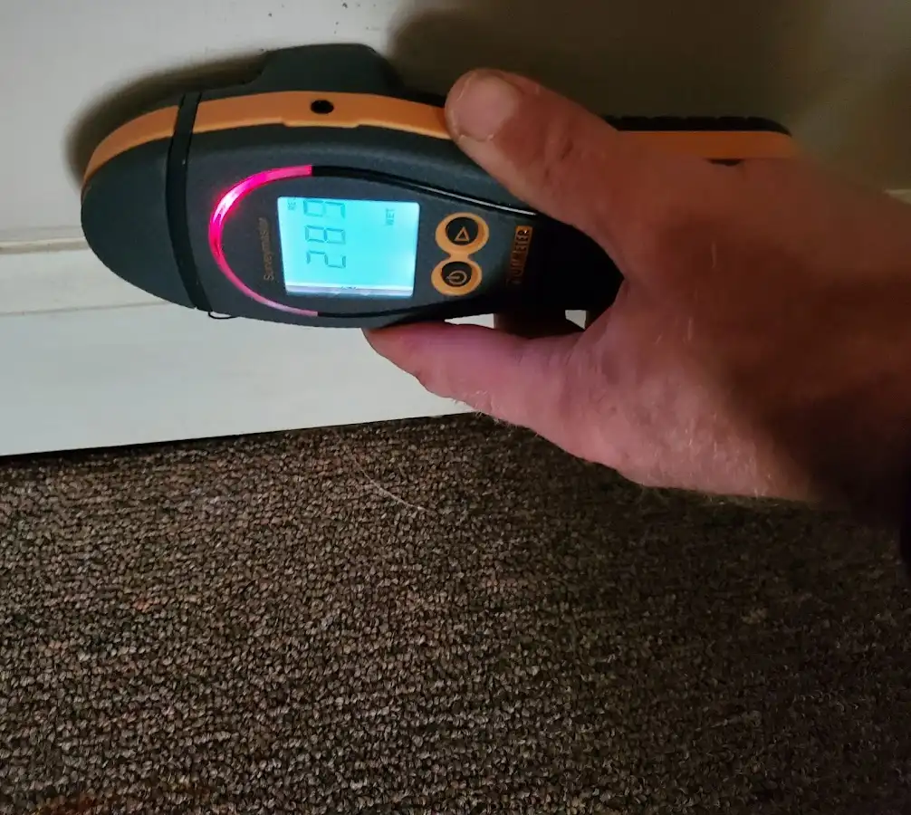 Moisture detection at baseboard during Burst Pipe Cleanup in Kodiak